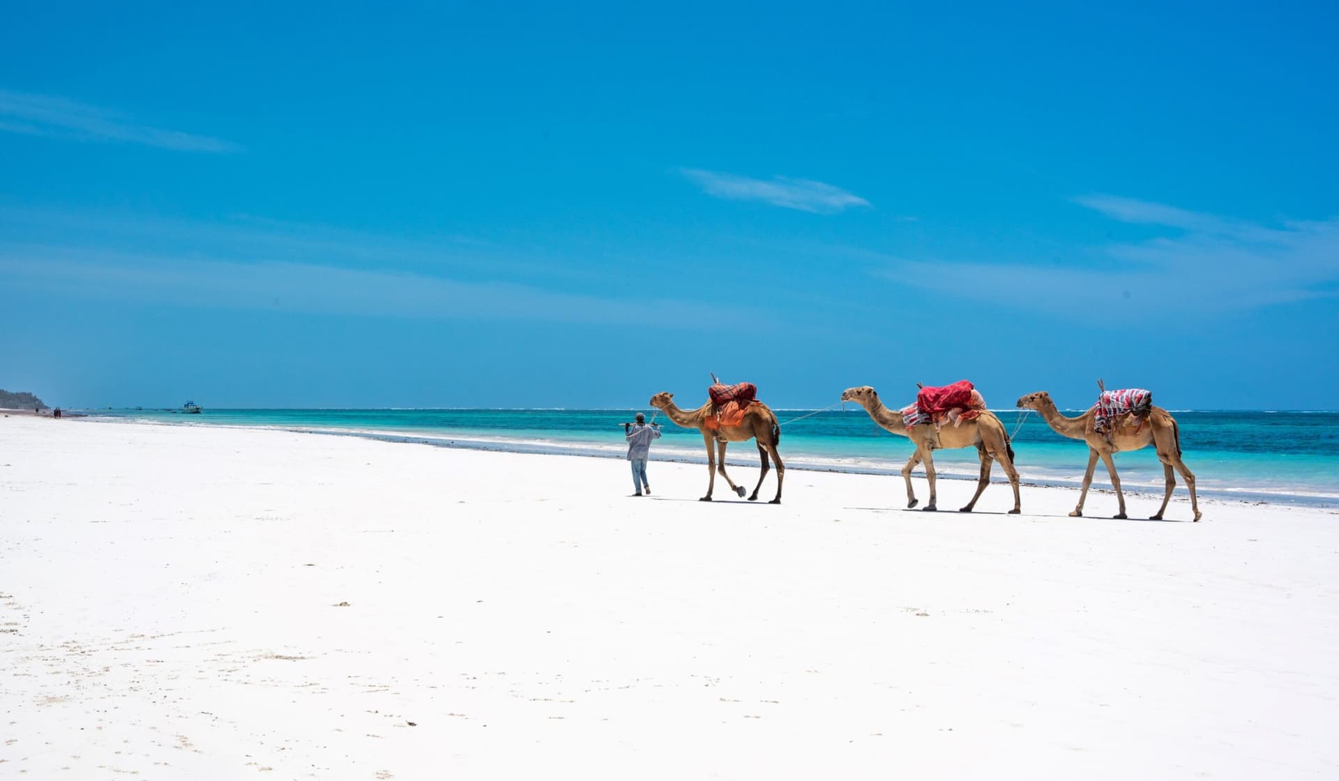 3 Day, 2 Nights Diani Tour package
