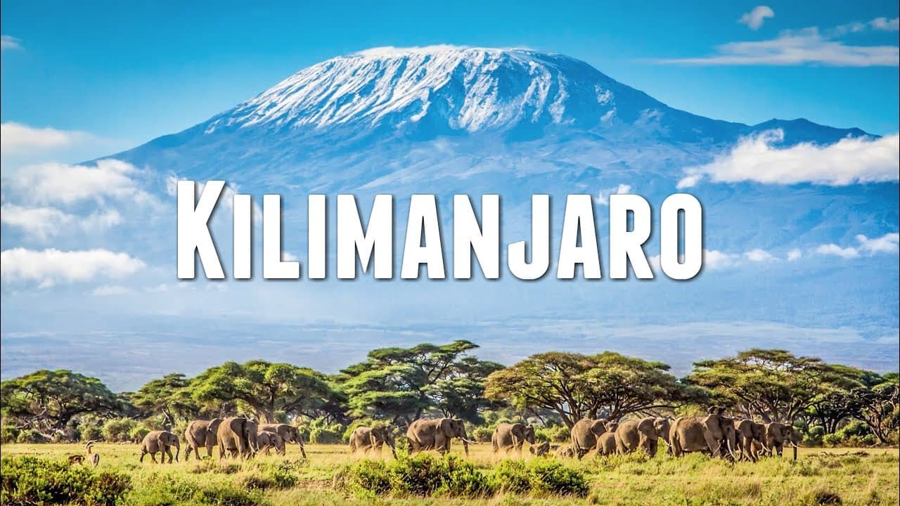 Climbing Mount Kilimanjaro - The Ultimate African Summit